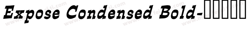 Expose Condensed Bold字体转换